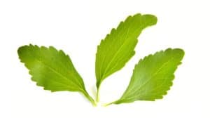 feuilles de stevia dans faut il arreter le sucre