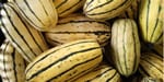 Des courges Delicata empilées