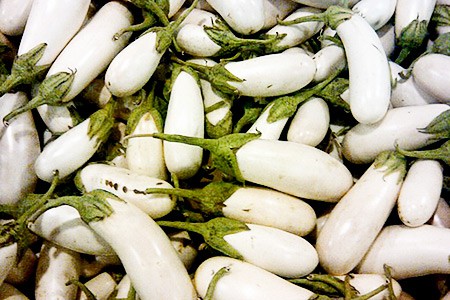 Aubergines blanches